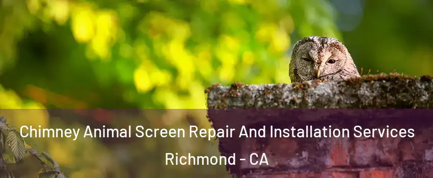  Chimney Animal Screen Repair And Installation Services Richmond - CA
