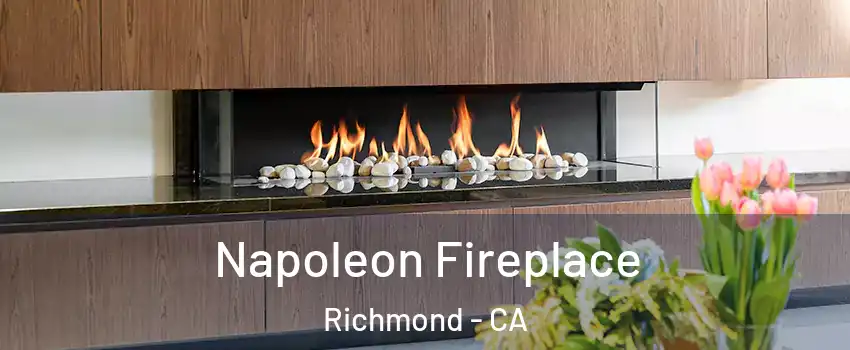  Napoleon Fireplace Richmond - CA